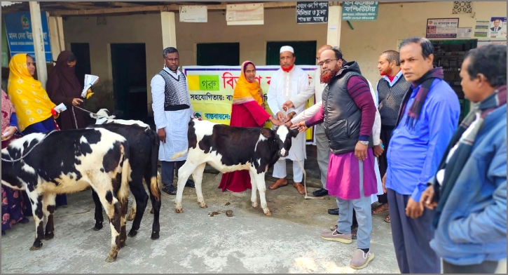 বাছুর হাতে ধরিয়ে ফটোসেশন, ডিম-খিচুড়ি খাইয়ে বিদায়!